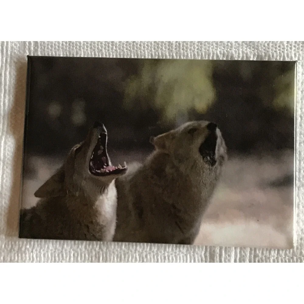 N/A collectible photo